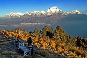 Ghorepani Poonhill Trek