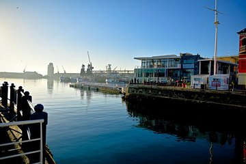 V&A Waterfront & Historic City Walking Tour
