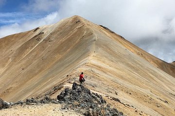 Trekking Paramillo del Quindío 3 days (4750 meters high)