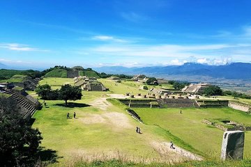 Oaxaca Conmigo Tours