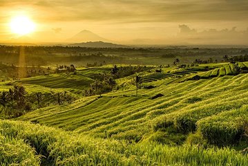 Full Day Tour of Tabanan