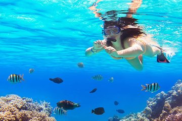 Reef Snorkeling - Sea trip Hurghada