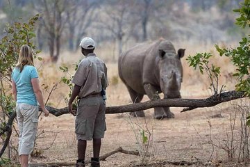Game Drive and Rhino Walk