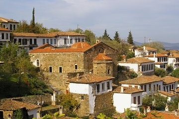 Izmir Port to Ephesus, Terrace Houses, Selcuk Museum, Temple of Artemis