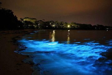 Small group tour from Negril to Luminous Lagoon.