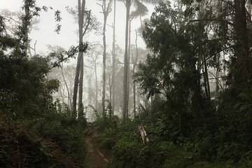 Trekking Finca La Argentina 2 days (3450 masl)