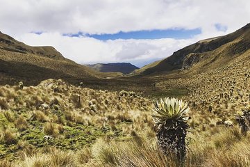 Trekking Laguna del Encanto 3 days (3950 meters high)
