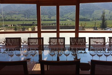 Colchagua Valley Experience 