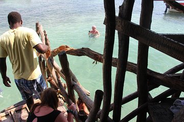  Floyds Pelican Bar Private Tour 