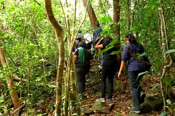 Hiking Day Tour 