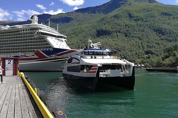 Guided day tour to Flåm - Grand Sognefjord Cruise & Flåm Railway 