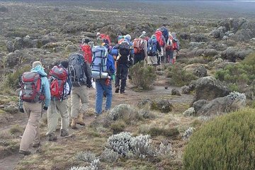 Kilimanjaro National Park Day Trip