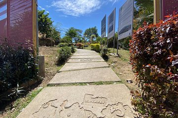 Moravia : el jardín inesperado de Medellín