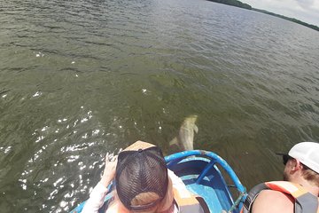 Dolphin Watching in Puerto El Morro from Guayaquil