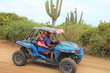 Cabo Wild Desert Tour, Polaris ATV or Razor Single, Double, Triple or Quad!
