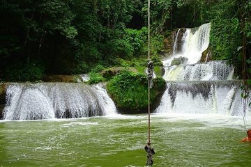 Appleton Estate and Ys Falls Private Tour 