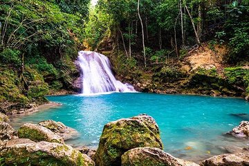 Blue Hole Secret Falls and Luminous Lagoon Private Tour