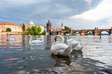 One-way Private Transfer From/To Prague Airport