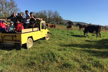 Algarve Jeep Safari - Half Day Trip Morning