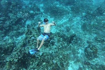 Amazing Snorkel at Cozumel Gorgeous Reef! Round Transportation from Tulum City