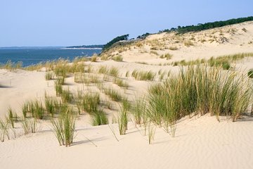 Dune du Pilat and Oysters Tasting in only 1 hour away from Bordeaux ! What else?