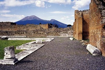 Pompeii and Vesuvius Experience from Sorrento - Skip The Line -