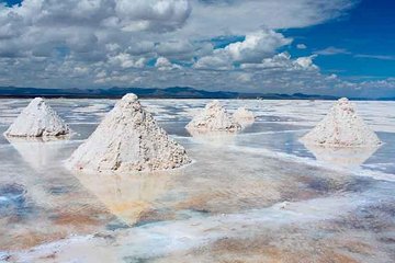 SALT FLATS TOUR UYUNI - 1 DAY | Including English Speaking Guide