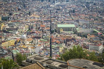 Naples Panoramic Private Tour from Naples