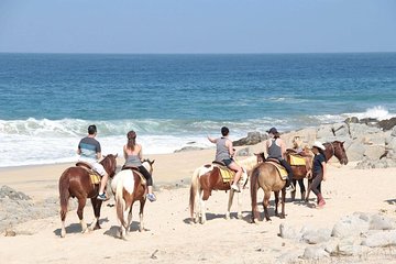 Beach & Desert Horseback Tour