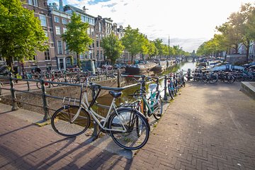 Explore the Instaworthy Spots of Amsterdam with a Local