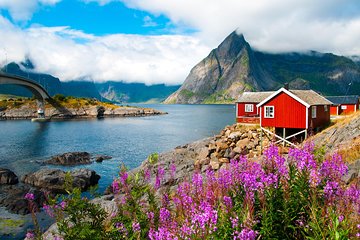 2 - Day Summer Sightseeing & Photography Tour in Lofoten