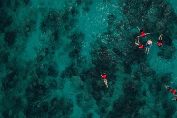 Boat and Snorkeling in West End (Blue Channel, The Aquarium, Turtle Crossing) 