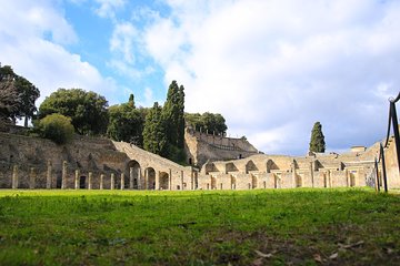 Skip-the-line Shore Excursion from Naples Cruise Port to Pompeii & Herculaneum 