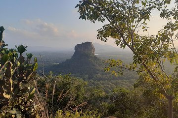 Dambulla, Sigiriya and Pidurangala Tour from Kandy