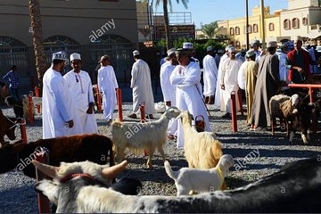 Nizwa Friday Market Jabal Chams