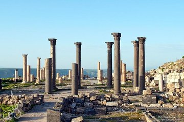 Jerash, Ajloun and Umm Qais Day Tour From Amman 