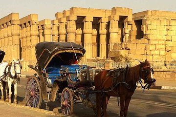Luxor City Tour By Horse Carriage From West Bank