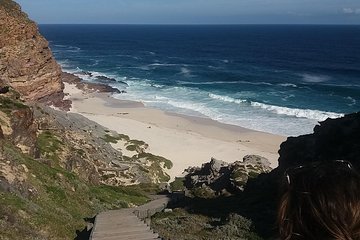Swim with Penguins At Boulders Chapman's Peak + Seals Inc tickets