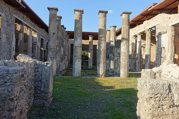 Private 8-hour Excursion of Naples and Pompeii from Naples Cruise Port or Hotel