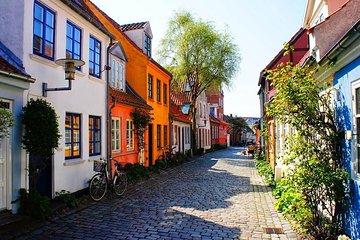 Private Shore Excursion: Highlights of Aarhus