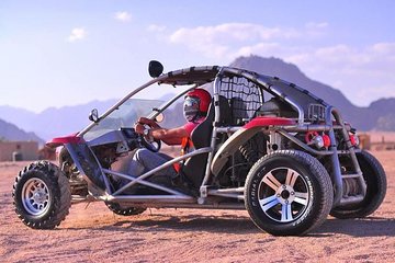 Quad Bike with Camels Riding and Bedouin Dinner from Sharm