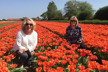 TulipFields & Giethoorn Private tour in Luxury Jaguar S Type