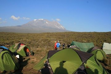 5 Days Marangu Hiking Walking Tour to Kilimanjaro Summit