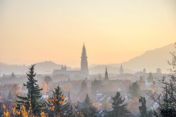 Discover Freiburg’s most Photogenic Spots with a Local