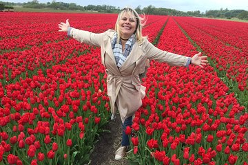 Tulips into the Flowerfields + Windmills + Dutch countryside