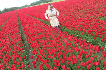 Private Tour Keukenhof into flowerfields+Countryside in Jaguar