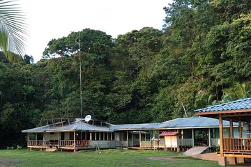 2-Day Tour in Corcovado, Sirena and San Pedrillo Stations