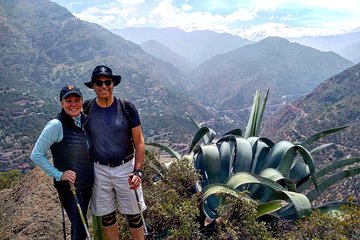 Hiking Tour in the Andes Mountains - Half Day Trip from Santiago