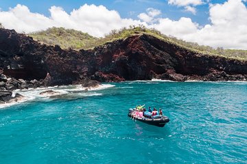 Kona Snorkeling - Beat the Crowd to Kealakekua Bay