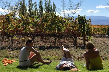 Rioja Wineries and Laguardia Tour with Picnic from San Sebastian